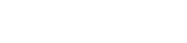 The SaaS Group